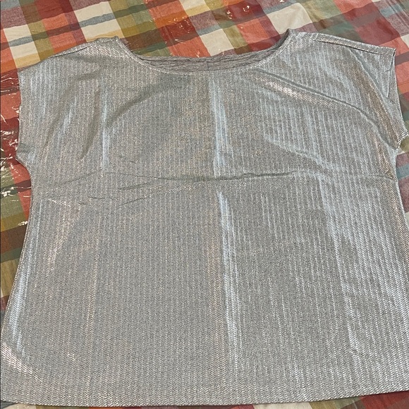 Shimmering Silver Short Sleeve Blouse 1X - Picture 7 of 9